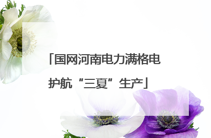 国网河南电力满格电护航“三夏”生产