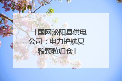 国网泌阳县供电公司：电力护航夏粮颗粒归仓
