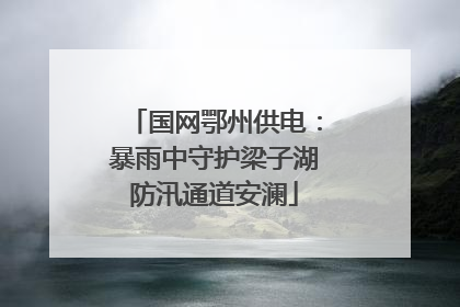 国网鄂州供电：暴雨中守护梁子湖防汛通道安澜