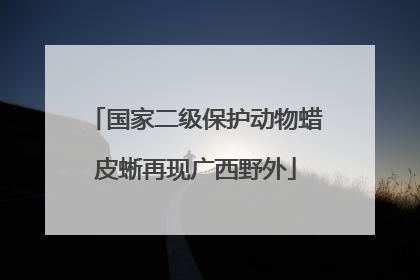 国家二级保护动物蜡皮蜥再现广西野外
