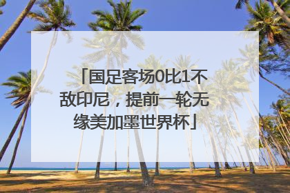 国足客场0比1不敌印尼，提前一轮无缘美加墨世界杯