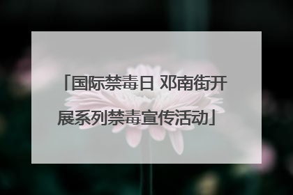 国际禁毒日 邓南街开展系列禁毒宣传活动