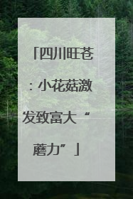 四川旺苍：小花菇激发致富大“蘑力”