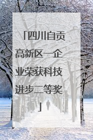 四川自贡高新区一企业荣获科技进步二等奖