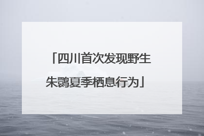 四川首次发现野生朱鹮夏季栖息行为