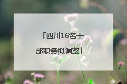 四川16名干部职务拟调整