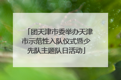 团天津市委举办天津市示范性入队仪式暨少先队主题队日活动