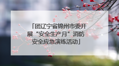 团辽宁省锦州市委开展“安全生产月”消防安全应急演练活动