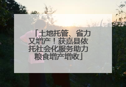 土地托管、省力又增产！获嘉县依托社会化服务助力粮食增产增收
