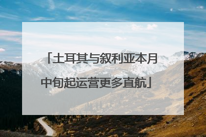 土耳其与叙利亚本月中旬起运营更多直航