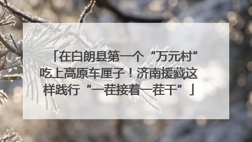 在白朗县第一个“万元村”吃上高原车厘子！济南援藏这样践行“一茬接着一茬干”