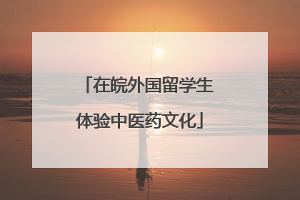 在皖外国留学生体验中医药文化