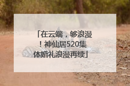 在云端，够浪漫！神仙居520集体婚礼浪漫再续