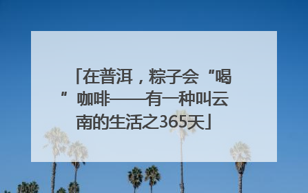 在普洱，粽子会“喝”咖啡——有一种叫云南的生活之365天