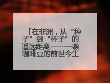 在非洲，从“种子”到“杯子”的遥远距离——一颗咖啡豆的前世今生（三）
