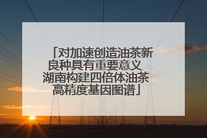对加速创造油茶新良种具有重要意义 湖南构建四倍体油茶高精度基因图谱