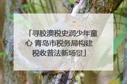 寻胶澳税史润少年童心 青岛市税务局构建税收普法新场景