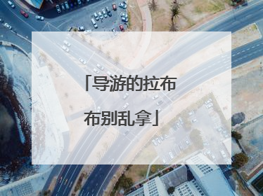 导游的拉布布别乱拿