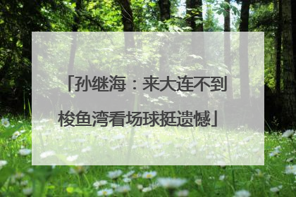 孙继海：来大连不到梭鱼湾看场球挺遗憾
