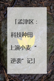 孟津区：科技种田 上演小麦“逆袭”记