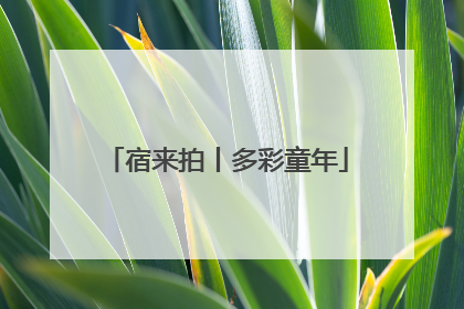 宿来拍丨多彩童年