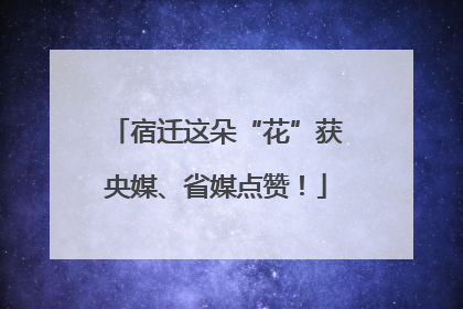 宿迁这朵“花”获央媒、省媒点赞！