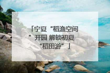 宁夏“稻渔空间”开园 解锁初夏“稻田游”
