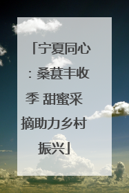 宁夏同心：桑葚丰收季 甜蜜采摘助力乡村振兴