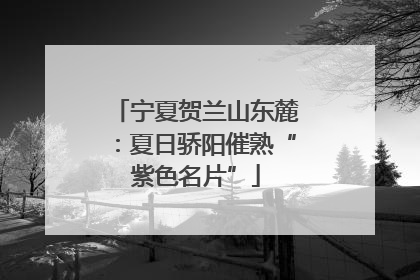 宁夏贺兰山东麓：夏日骄阳催熟“紫色名片”