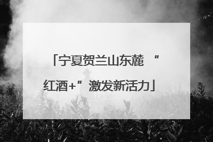宁夏贺兰山东麓 “红酒+”激发新活力
