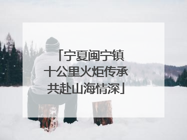 宁夏闽宁镇 十公里火炬传承共赴山海情深