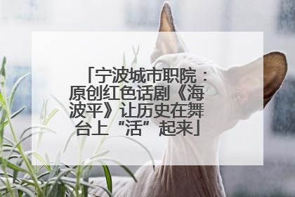 宁波城市职院：原创红色话剧《海波平》让历史在舞台上“活”起来
