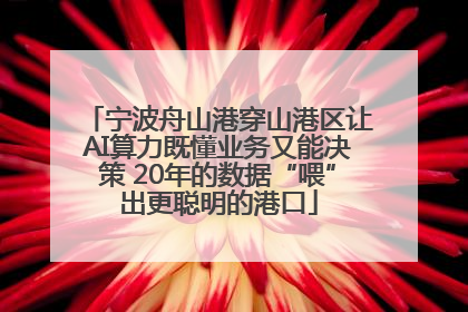 宁波舟山港穿山港区让AI算力既懂业务又能决策 20年的数据“喂”出更聪明的港口