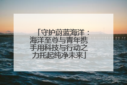 守护蔚蓝海洋：海洋至尊与青年携手用科技与行动之力托起纯净未来