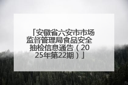 安徽省六安市市场监督管理局食品安全抽检信息通告（2025年第22期）