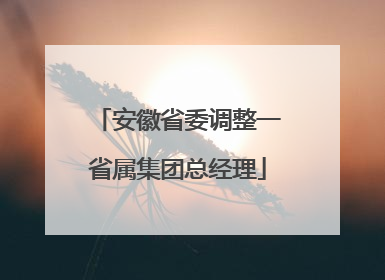 安徽省委调整一省属集团总经理