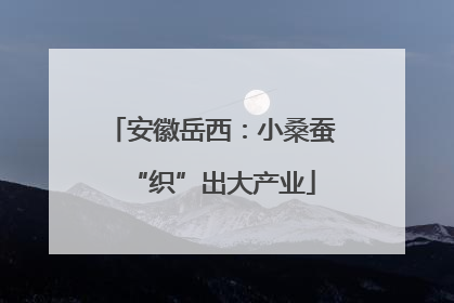 安徽岳西：小桑蚕“织”出大产业