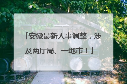 安徽最新人事调整，涉及两厅局、一地市！