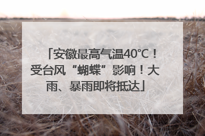 安徽最高气温40℃！受台风“蝴蝶”影响！大雨、暴雨即将抵达