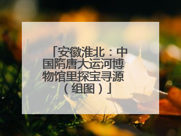 安徽淮北：中国隋唐大运河博物馆里探宝寻源（组图）