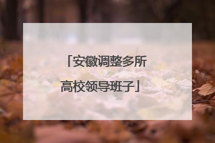 安徽调整多所高校领导班子