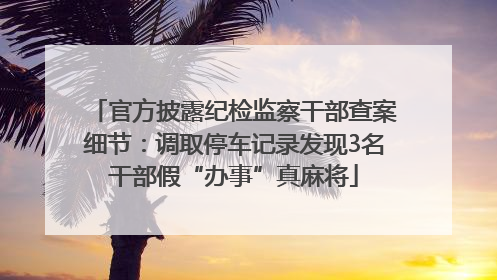 官方披露纪检监察干部查案细节：调取停车记录发现3名干部假“办事”真麻将