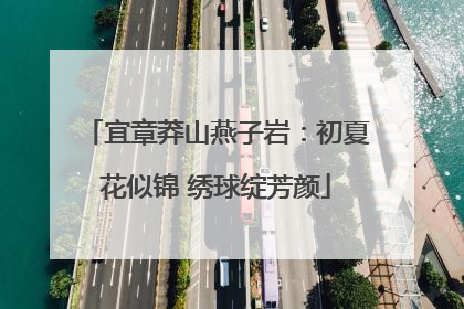 宜章莽山燕子岩：初夏花似锦 绣球绽芳颜