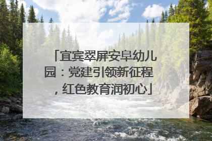 宜宾翠屏安阜幼儿园：党建引领新征程，红色教育润初心