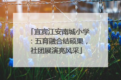 宜宾江安南城小学：五育融合结硕果，社团展演亮风采