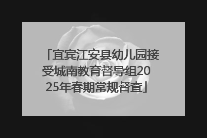 宜宾江安县幼儿园接受城南教育督导组2025年春期常规督查