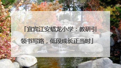 宜宾江安蟠龙小学：教研引领书写路，低段成长正当时