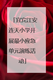 宜宾江安连天小学开展最小应急单元演练活动