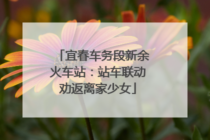 宜春车务段新余火车站：站车联动劝返离家少女