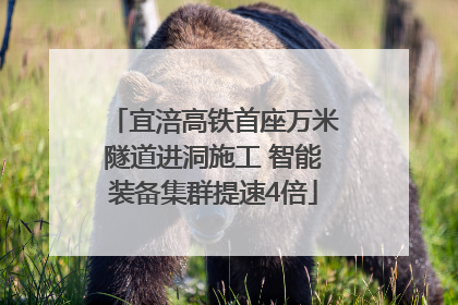 宜涪高铁首座万米隧道进洞施工 智能装备集群提速4倍